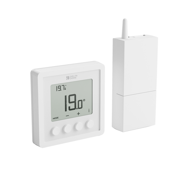 Delta Dore Tybox RF 210